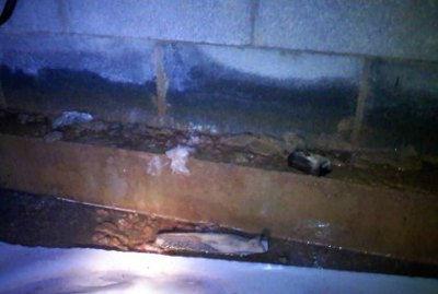 Water in Crawlspace